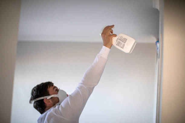 Best Home Mold Removal  in Eagle Butte, SD
