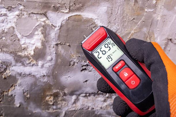 Best Water Damage Restoration  in Eagle Butte, SD