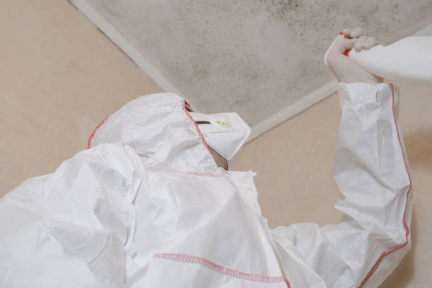 Best Mold Testing  in Eagle Butte, SD