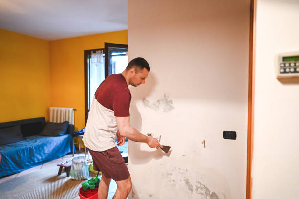 Best Professional Mold Removal  in Eagle Butte, SD